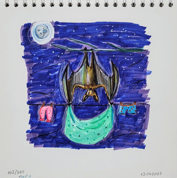    &quot;  &quot;. 102/365