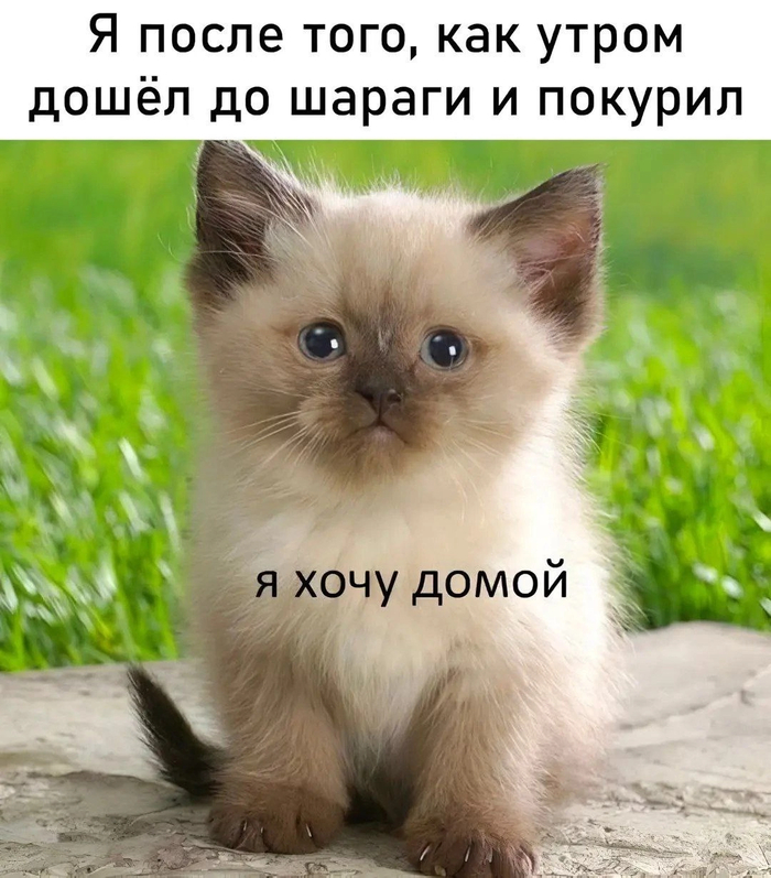    , , 