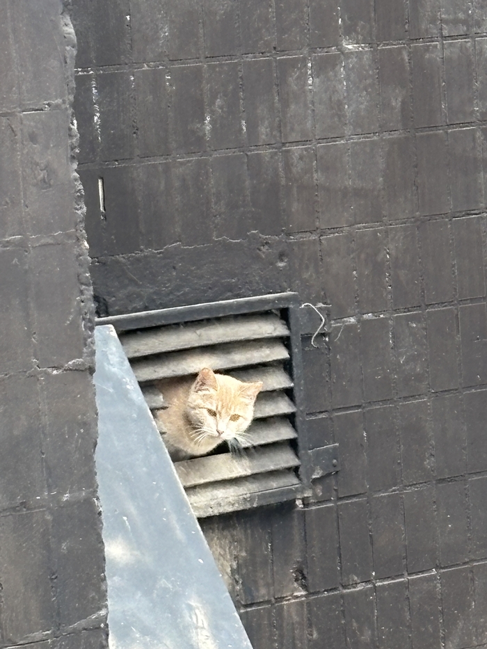          , ,  , ,  , , , ,  ,  ,  , , , 
