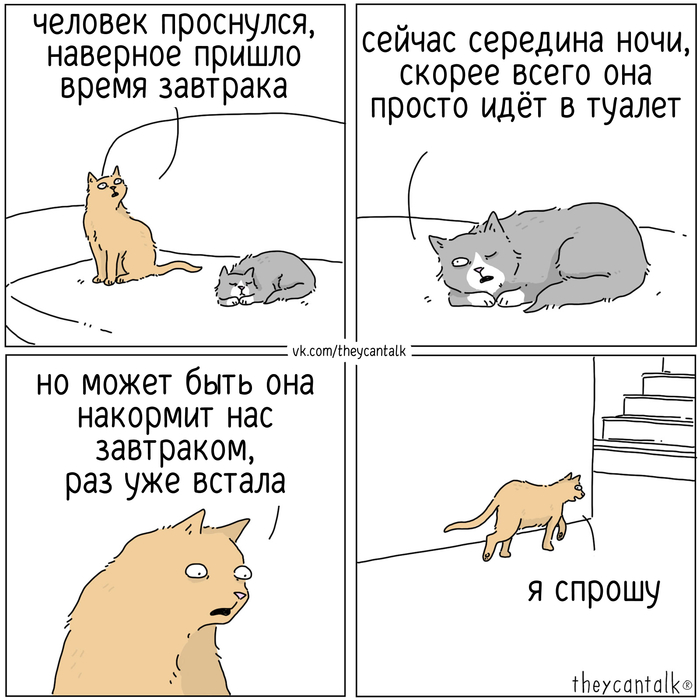 Завтрак