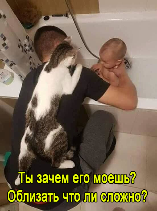 ,   ... ,   , , , , ,   