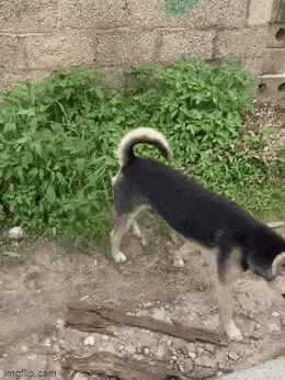  , , , 