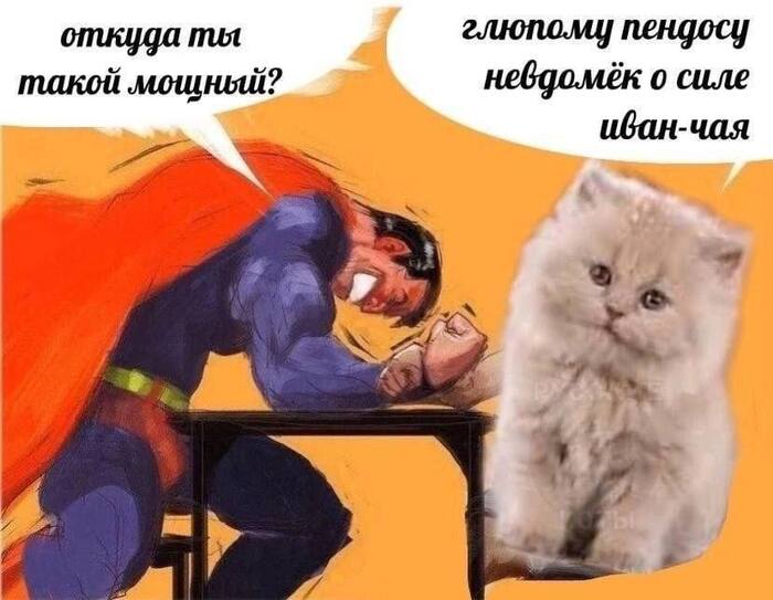 Иван-чай — это сила!