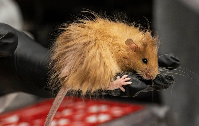      Colossal Biosciences    .     ,         .