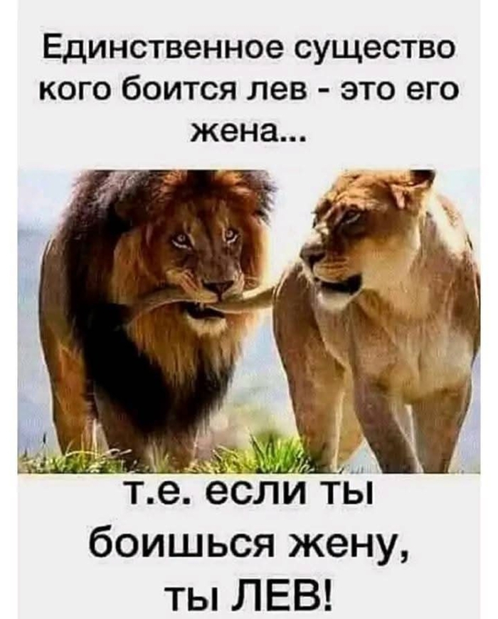  , , 