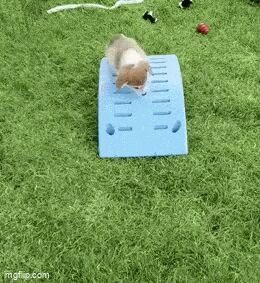   , , , 