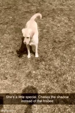   , , , 