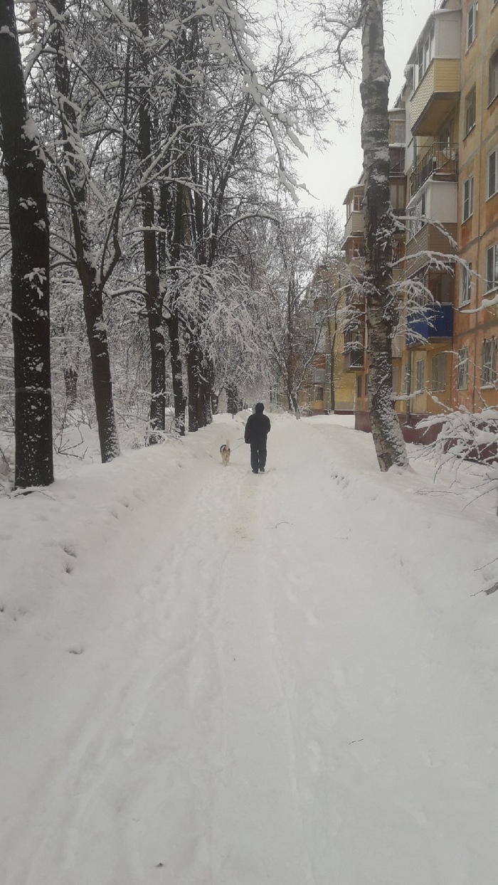 ������ ������