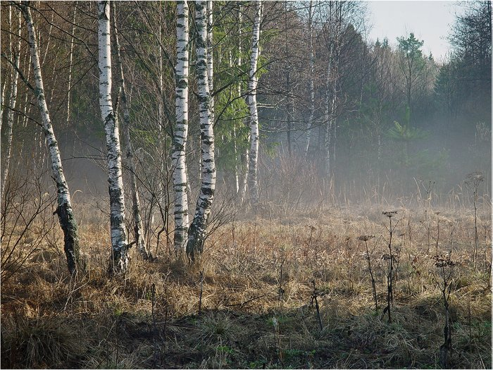 ����. �����������