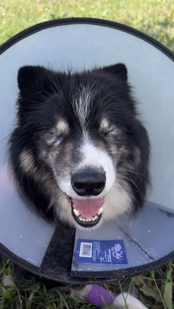   ,  ,       ,   .    .