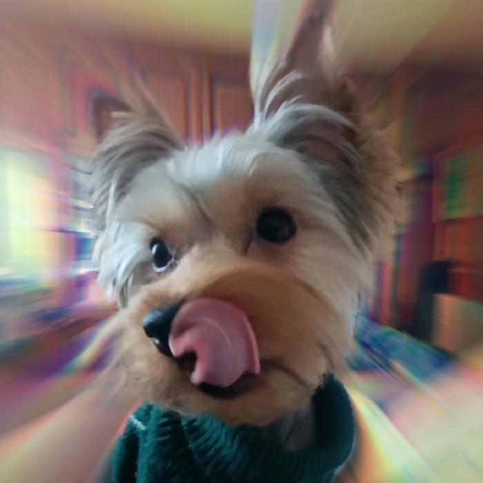 "  ,   "     , ,  , -, ,   