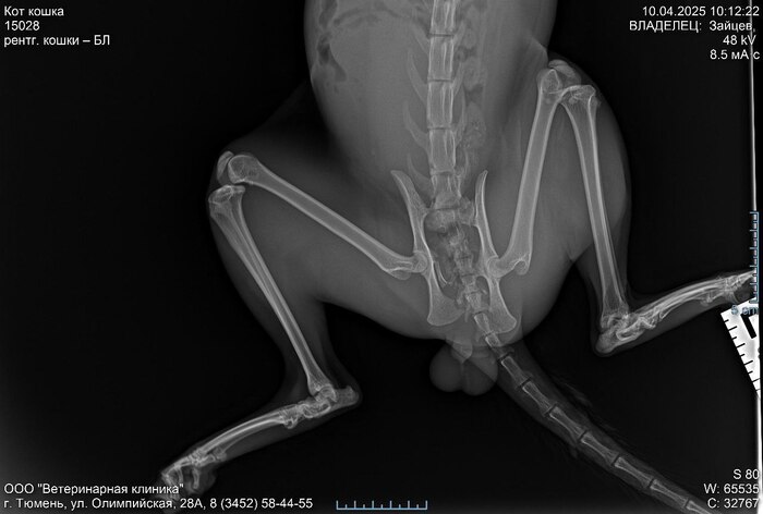 ���������� ����� �� �������� : )