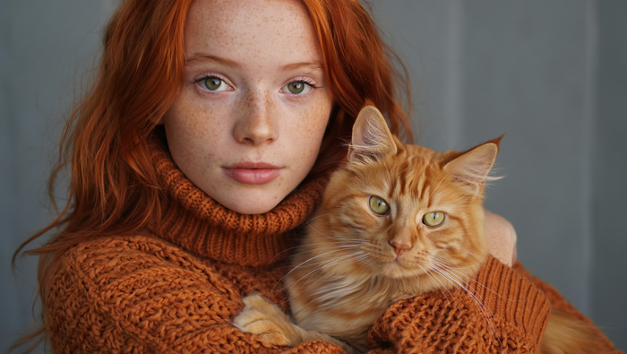 ����� ������