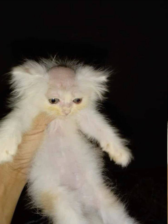  , 