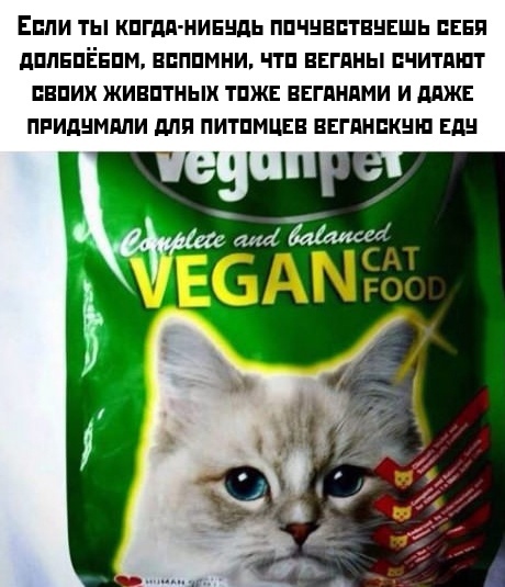 Веганы действительно так думают? Посмотрите на его грустные глаза...