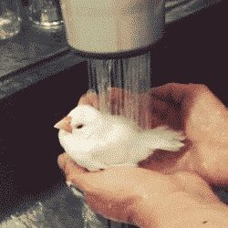    , , , 