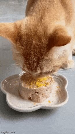    , , , 