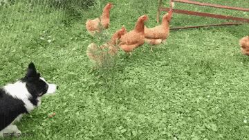    , , , 