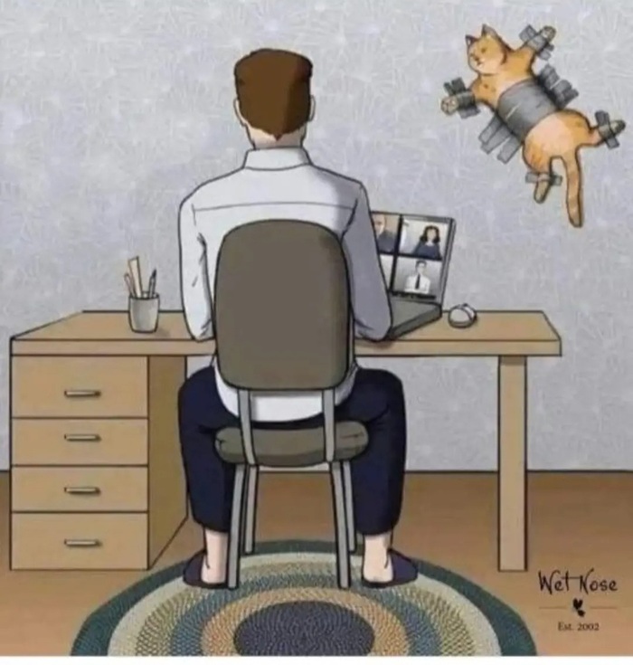     -   , , , , , , , 