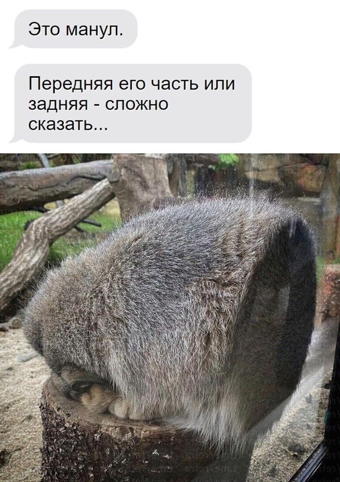 Случай в московском зоопарке