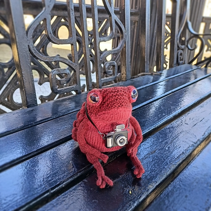  , It Is Wednesday My Dudes, , ,  , , 