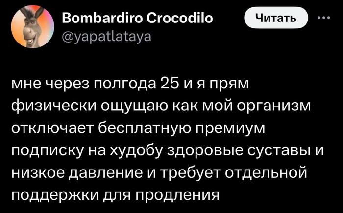   ? , X (Twitter), ,  ,  , 