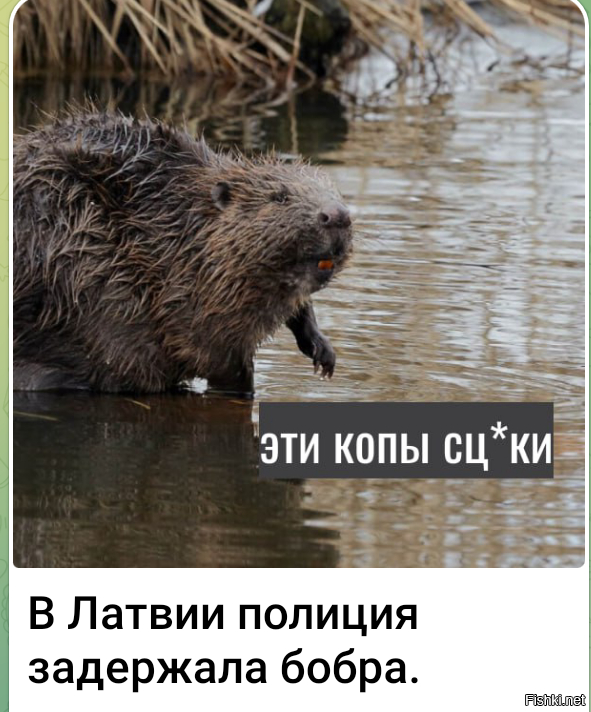 ����� ������������ 