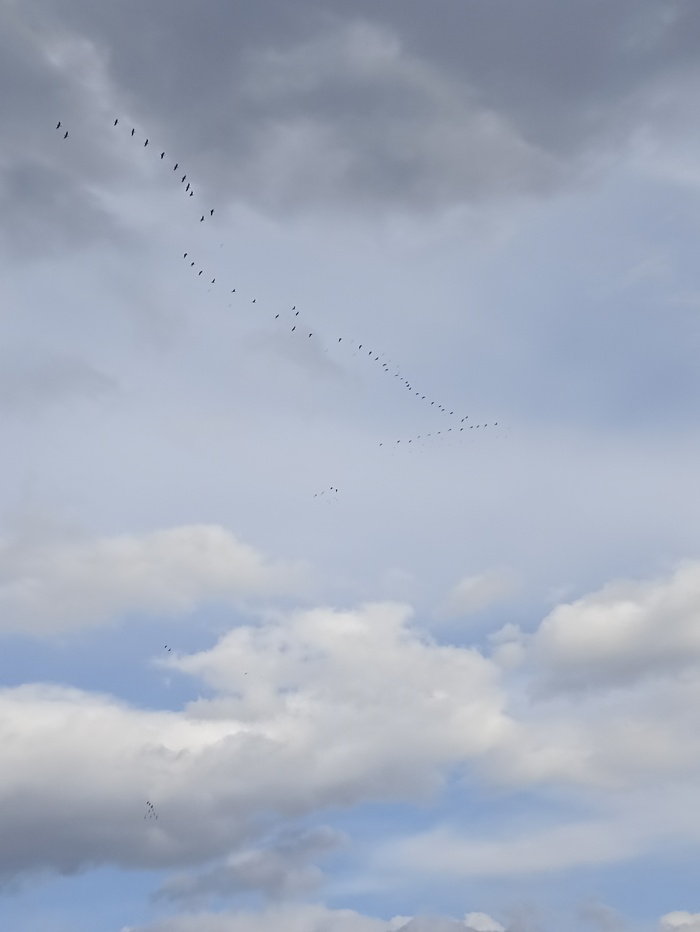    , , , , , 