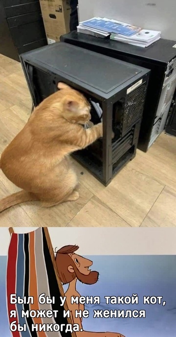  , , , ,  ()