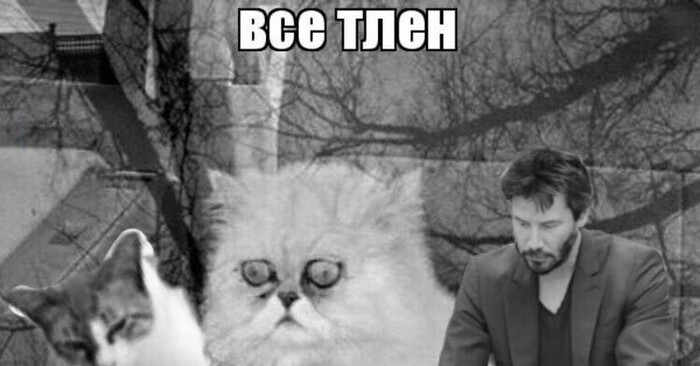      , , , ,   