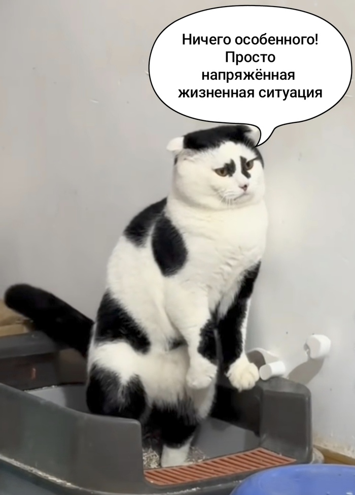 Ну и что смотреть то?!