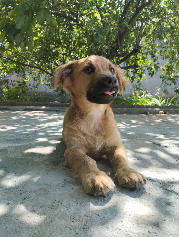 (2 ) , ,  , , 