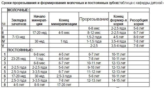 Ответ на пост «В Англии впервые вырастили человеческие зубы в лаборатории»