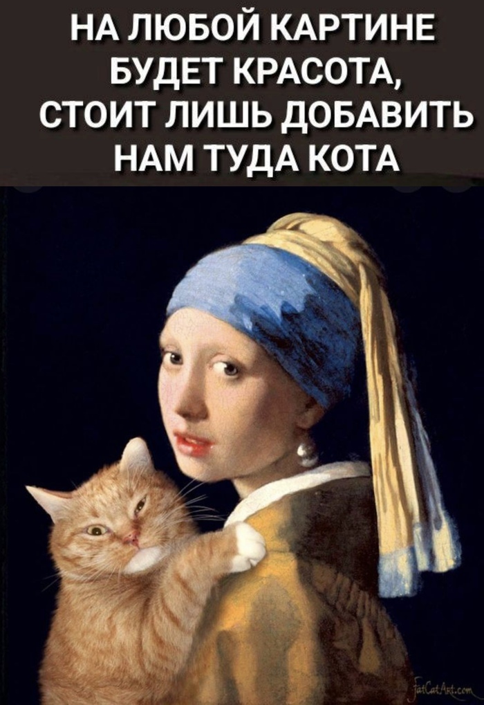     ,  ,    , , ,   , 