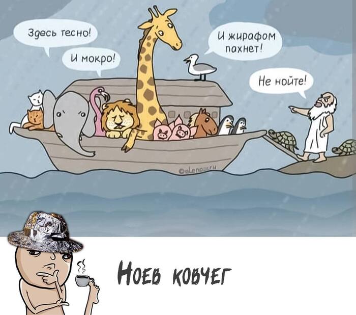 Ной - не нойте !