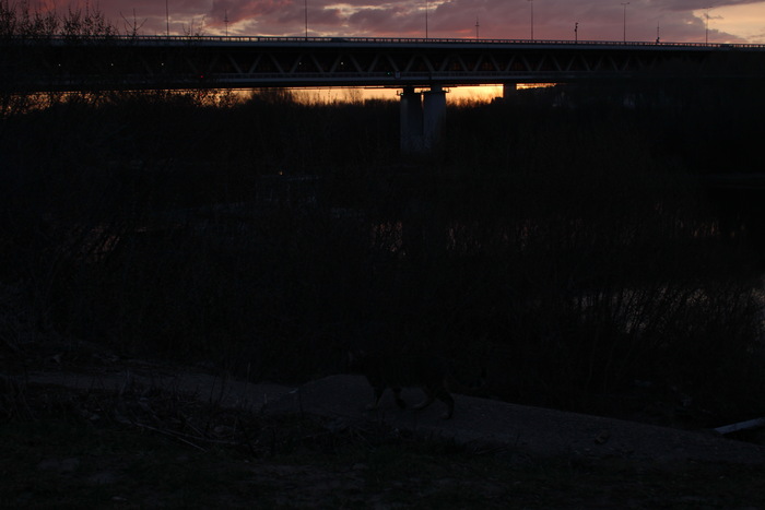 ���������� �����