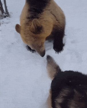     ,   , , , 