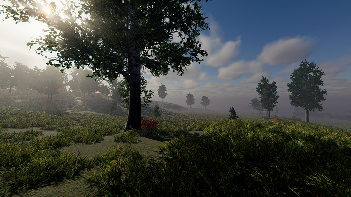 �������� ��