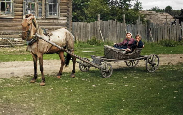 Подборка душевных и ярких фотографий деревенской жизни в СССР. 20 раскрашенных фотографий 20 век, Фотография, СССР, Детство в СССР, Старое фото, 60-е, 70-е, 50-е, 80-е, Деревня, Сельская жизнь, Колоризация, Длиннопост