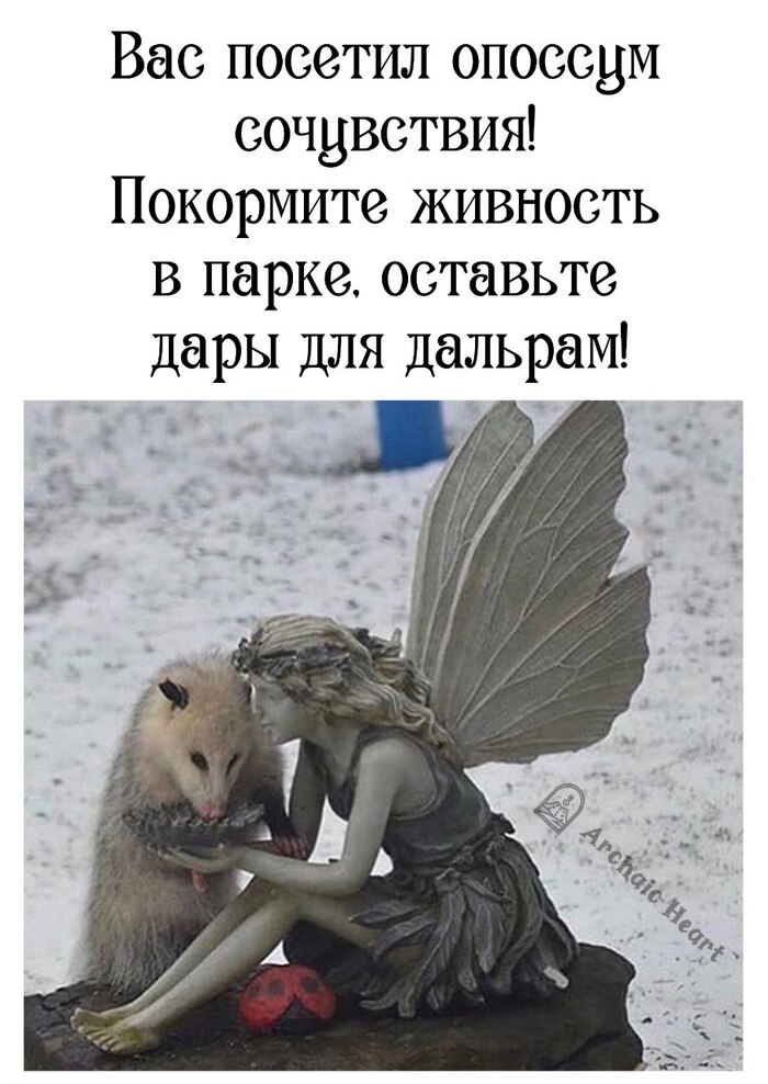  ! , , ,   , , , , 