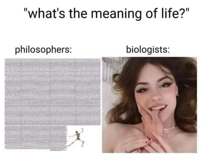 Смысл жизни - 9GAG, Философия
