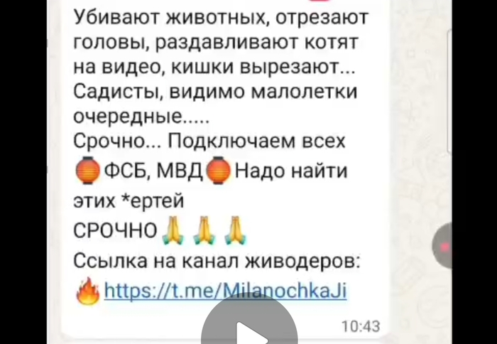   .   .  .     , , , , , ,  , , Telegram (), , ,  ,  , ,  