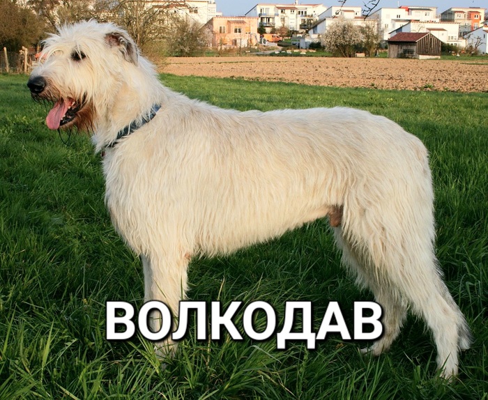     -  -   , , ,   ,  