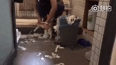   , , , 