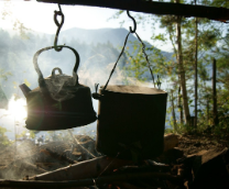 � ������ ����� ���� ���.