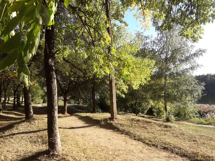 Излюбленная тропа