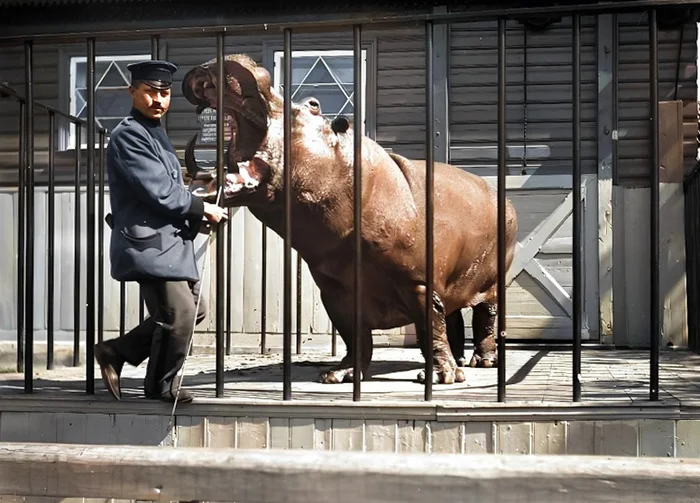 Подборка интересных и необычных фотографий Российской Империи. 20 раскрашенных фотографий. Часть XII Историческое фото, Старое фото, 20 век, 19 век, Фотография, Российская империя, История России, Колоризация, Длиннопост