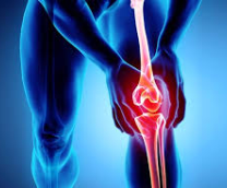 ����- �Ѩ � ����� �������� ����� ����� ���� ������