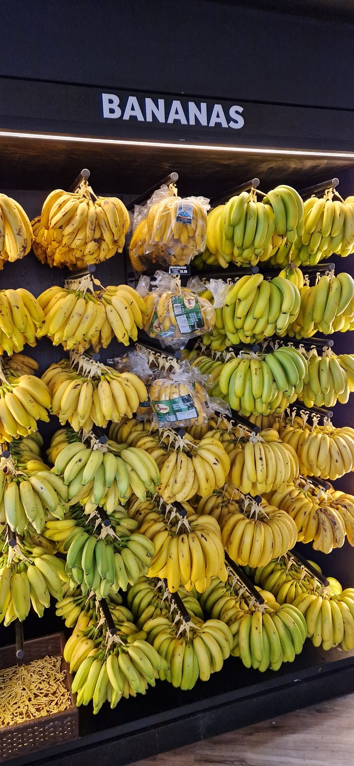   , , ,  ,  , 