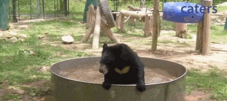   , , , 